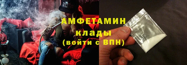 индика Сосновоборск