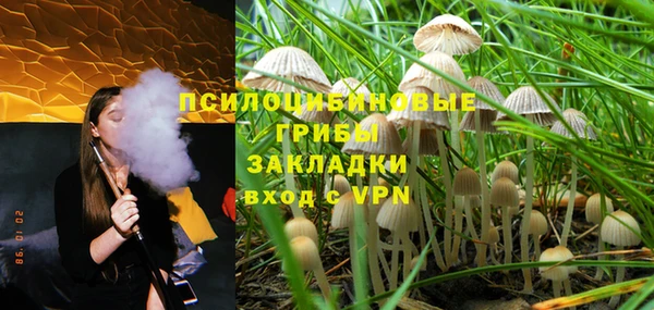 2c-b Снежинск