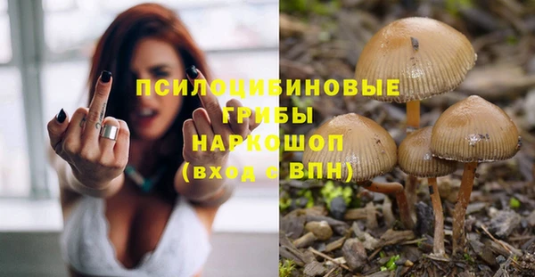 дживик Слюдянка
