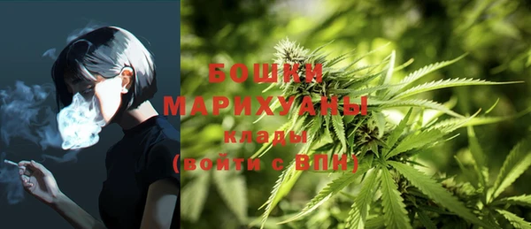 индика Сосновоборск